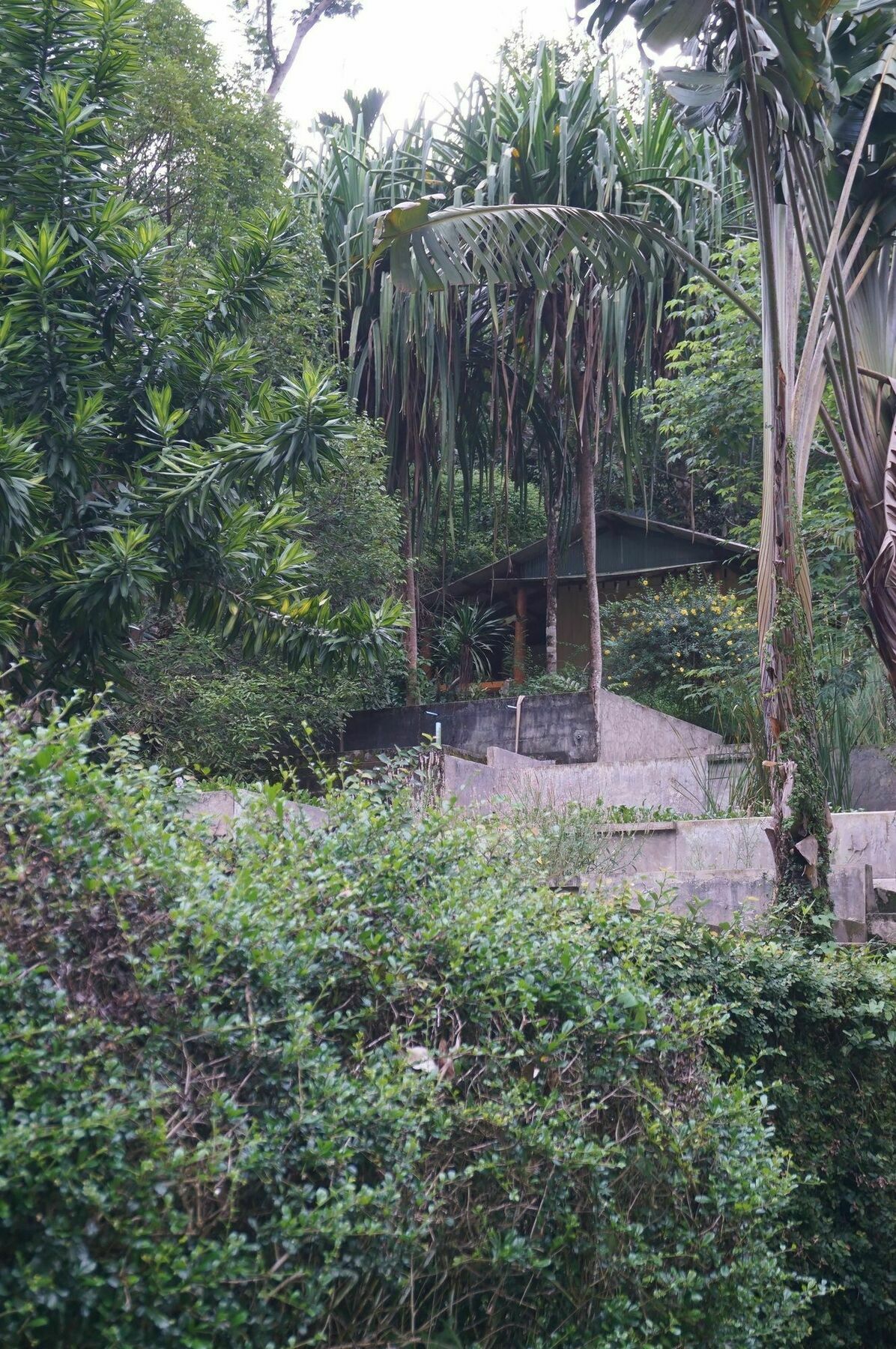 Smallville Resort ระนอง ภายนอก รูปภาพ